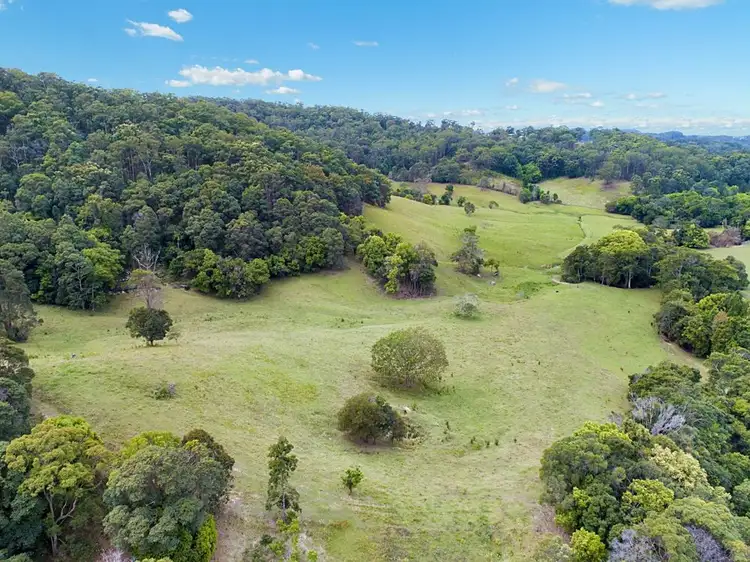 Third view of Homely rural property listing, 542 Piggabeen Road, Piggabeen NSW 2486