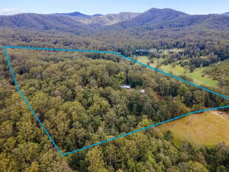 Third view of Homely rural property listing, 88 Basin Road, Brierfield NSW 2454
