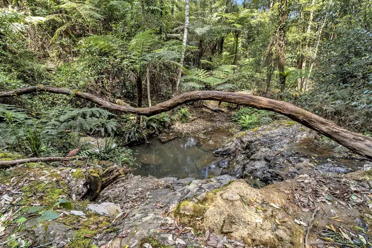 Seventh view of Homely house listing, Lot 5 Lower Bobo Road, Ulong NSW 2450