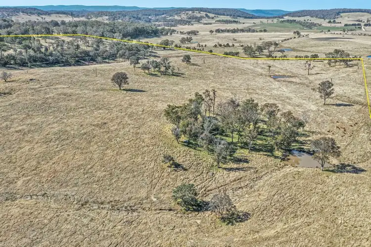 Main view of Homely rural property listing, 1128 Scrub Road, Tenterfield NSW 2372