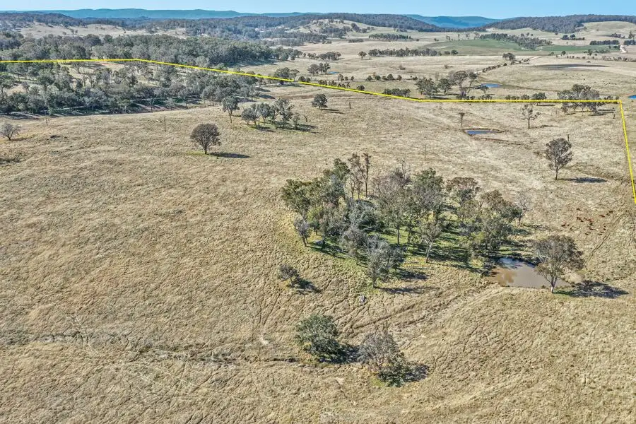 Main view of Homely rural property listing, 1128 Scrub Road, Tenterfield NSW 2372
