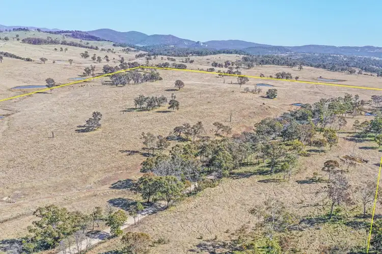 Second view of Homely rural property listing, 1128 Scrub Road, Tenterfield NSW 2372