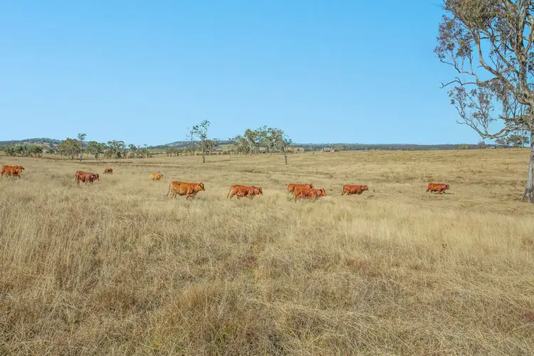 Third view of Homely rural property listing, 1128 Scrub Road, Tenterfield NSW 2372