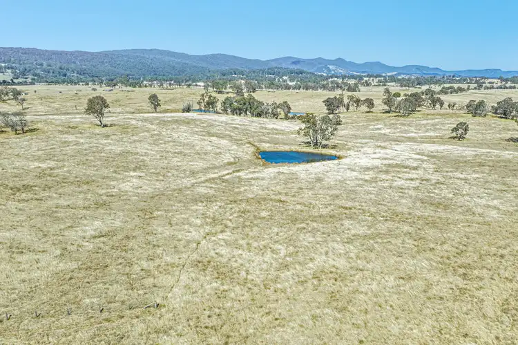 Fourth view of Homely rural property listing, 1128 Scrub Road, Tenterfield NSW 2372