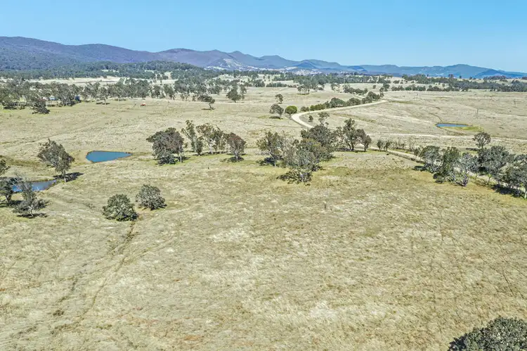 Fifth view of Homely rural property listing, 1128 Scrub Road, Tenterfield NSW 2372