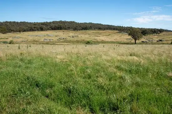 Sixth view of Homely rural property listing, Address available on request