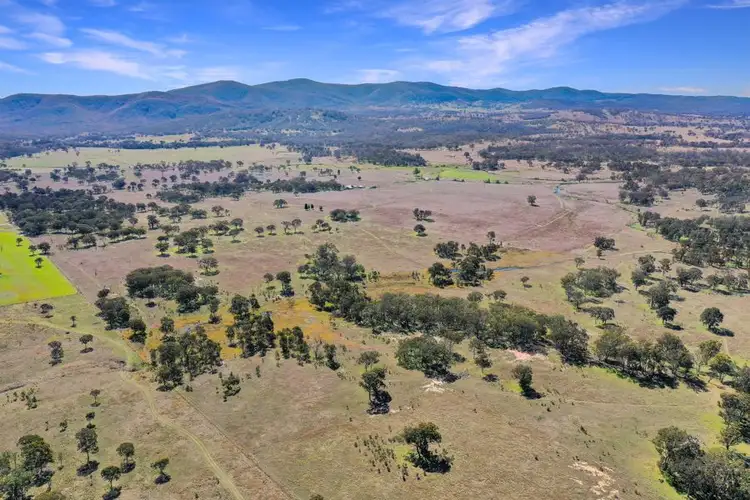 Sixth view of Homely rural property listing, 1623 Bruxner Way, Tenterfield NSW 2372