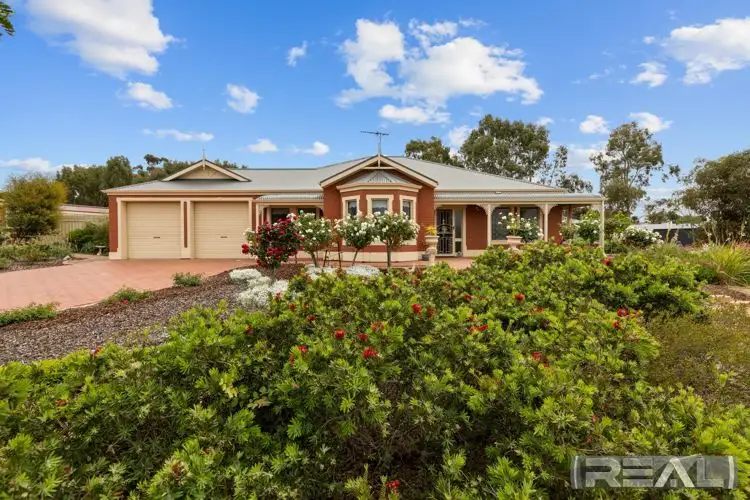 Main view of Homely house listing, 12 Casuarina Walk, Murray Bridge SA 5253