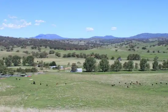Sixth view of Homely rural property listing, 1 Riverbend Waverley  Road, Scone NSW 2337