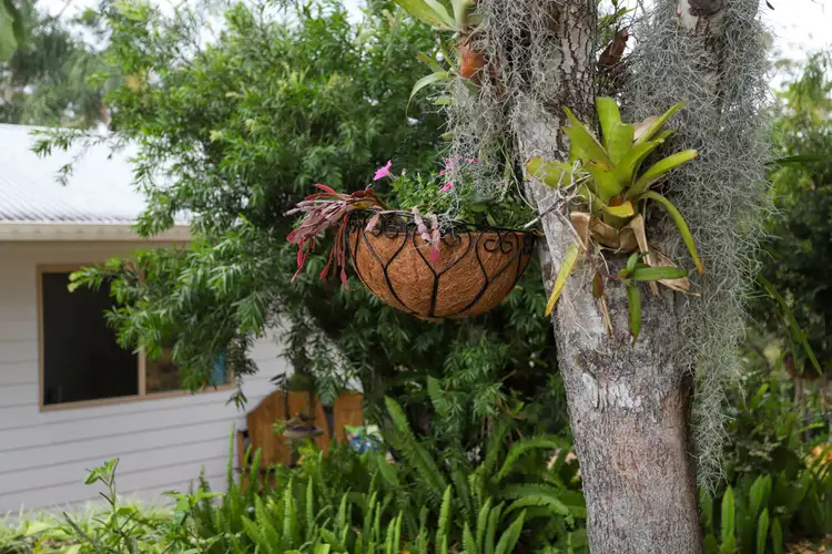 Sixth view of Homely house listing, 134 Panorama Drive, Rosemount QLD 4560