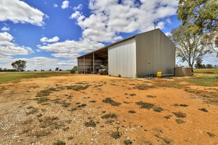 Fourth view of Homely rural property listing, 369 Carrigan Road, Deniliquin NSW 2710