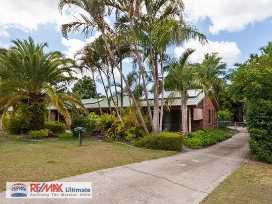 19 Sedgman Street, Morayfield QLD 4506