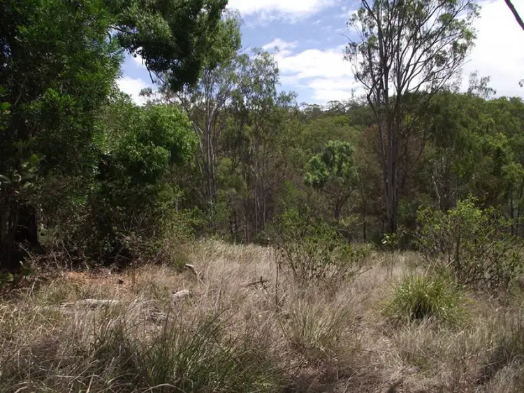 Third view of Homely land listing, 193 Webb Road, Black Snake QLD 4600