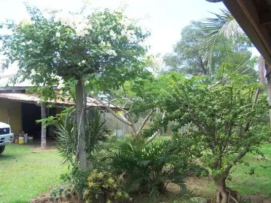 Second view of Homely rural property listing, Address available on request