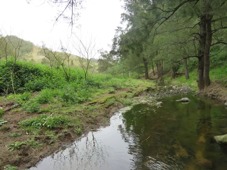 The Alaskans Curricabark Road, Dewitt NSW 2422