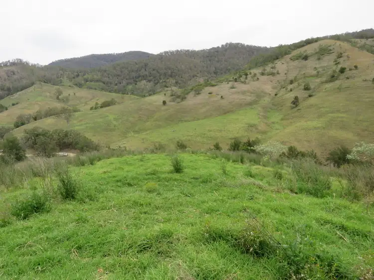 Third view of Homely rural property listing, The Alaskans Curricabark Road, Dewitt NSW 2422