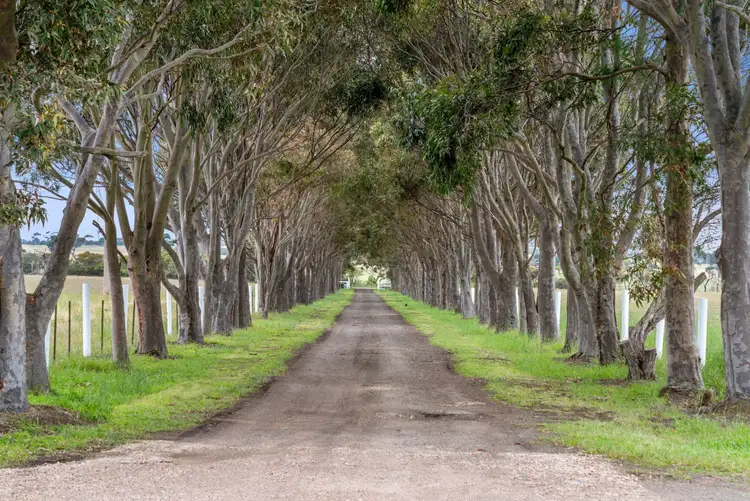 Sixth view of Homely rural property listing, 880 Horseshoe Bend Road, Mount Duneed VIC 3216