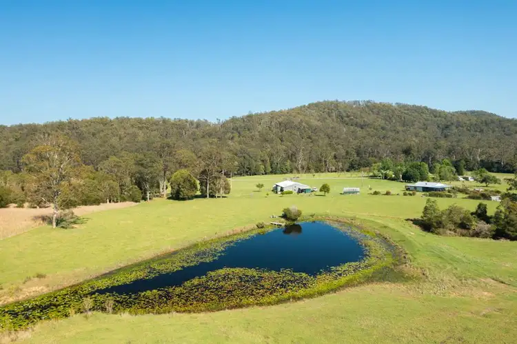 Third view of Homely rural property listing, 302 Clarefield Dungay Creek Road, Marlo Merrican NSW 2441