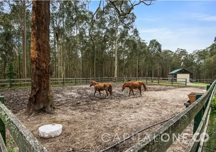 Fourth view of Homely rural property listing, 873 Dicksons RD, Durren Durren NSW 2259
