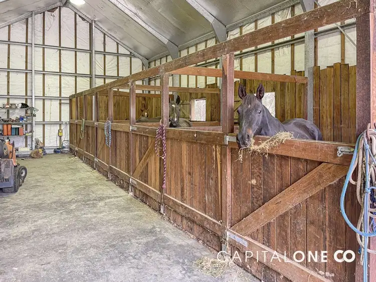 Sixth view of Homely rural property listing, 873 Dicksons RD, Durren Durren NSW 2259