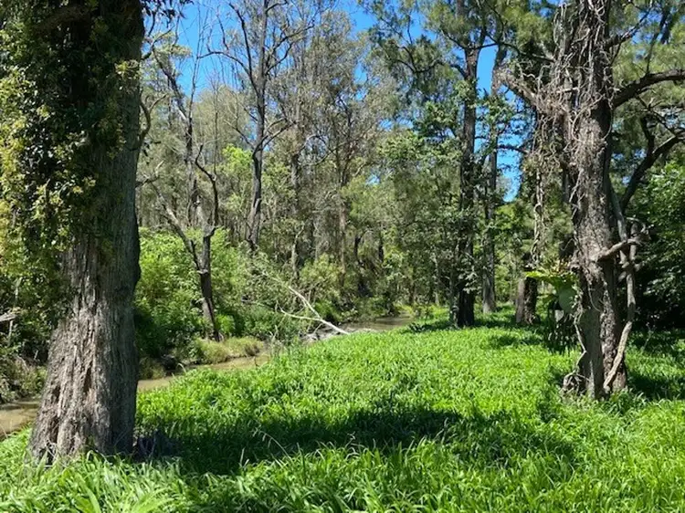 Seventh view of Homely rural property listing, 835 Willi Willi Road, Willi Willi NSW 2440