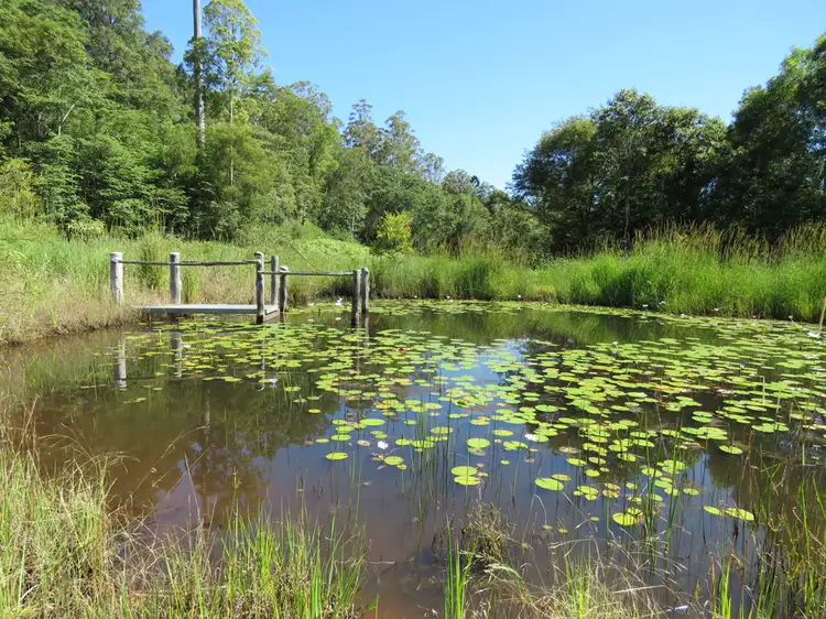 Main view of Homely rural property listing, 311 SUNDOWNER ROAD, Millbank NSW 2440