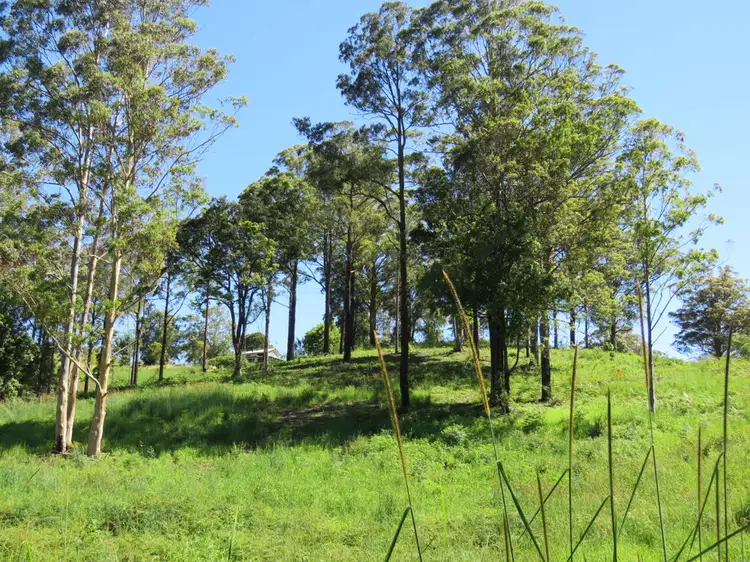 Third view of Homely rural property listing, 311 SUNDOWNER ROAD, Millbank NSW 2440