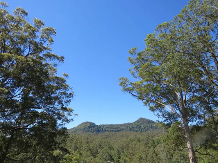 Fifth view of Homely rural property listing, 311 SUNDOWNER ROAD, Millbank NSW 2440