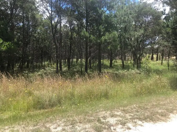 Lot 201 South Drive, Sugarloaf QLD 4380