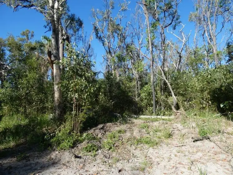 Fourth view of Homely rural property listing, Lot 164 Capricornia Drive, Deepwater QLD 4674