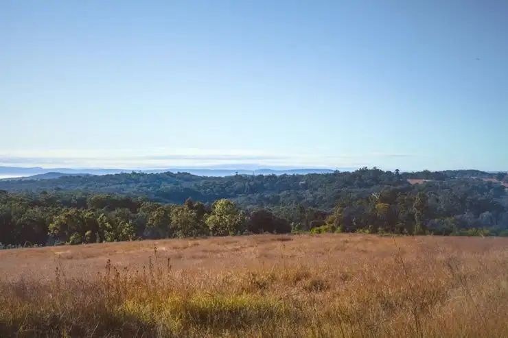 Third view of Homely rural property listing, Lot 34 Cullendore Road, Cullendore NSW 2372