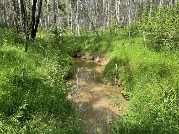 Main view of Homely rural property listing, 520 Ellangowan Myrtle Creek Road, Ellangowan NSW 2470