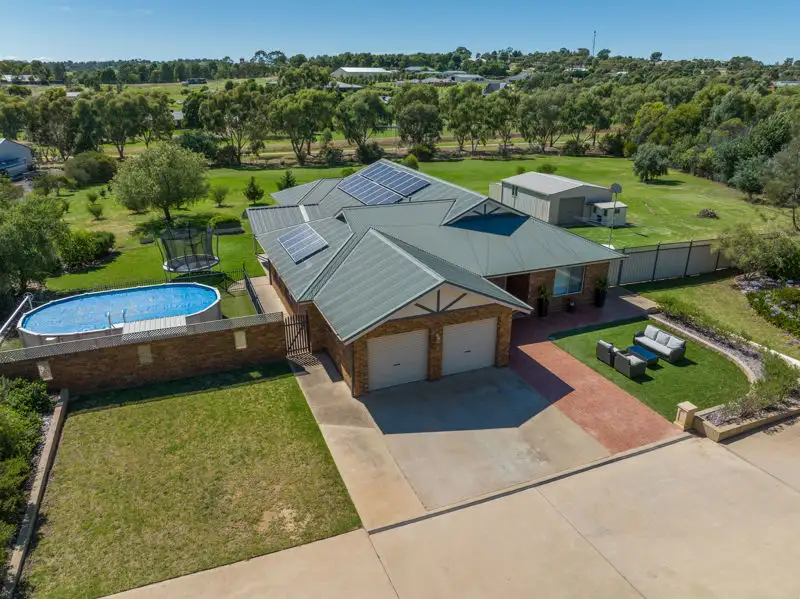 Main view of Homely house listing, 13 De Salis Drive, Junee NSW 2663
