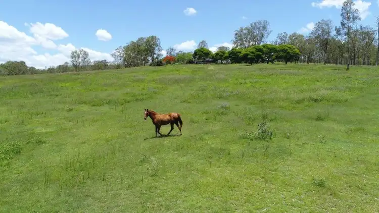 Second view of Homely rural property listing, 19 Claytons Road, Lowmead QLD 4676