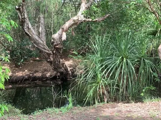 Fourth view of Homely rural property listing, 6375 Stuart Hwy, Coomalie Creek NT 822