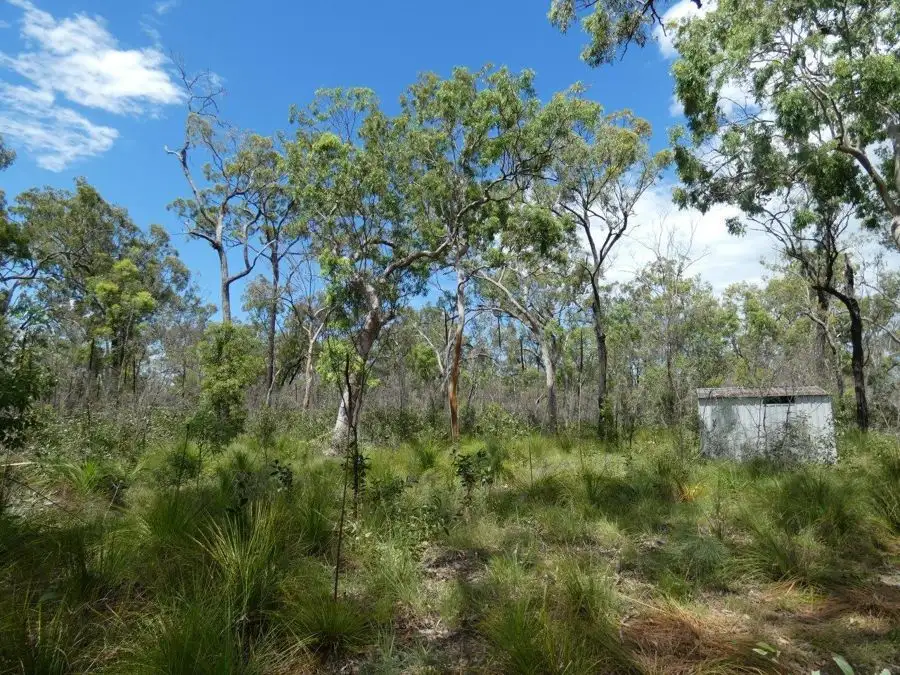 Main view of Homely rural property listing, Lot 45 Whytallabah Road, Euleilah QLD 4674