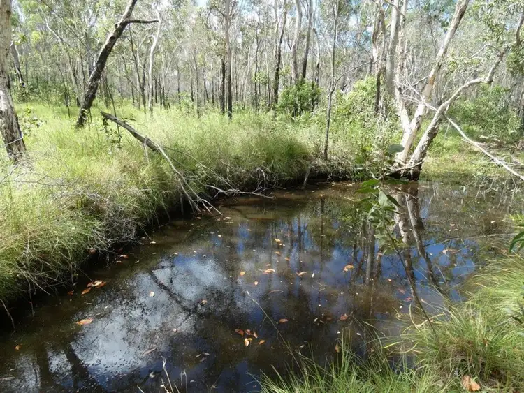 Third view of Homely rural property listing, Lot 45 Whytallabah Road, Euleilah QLD 4674