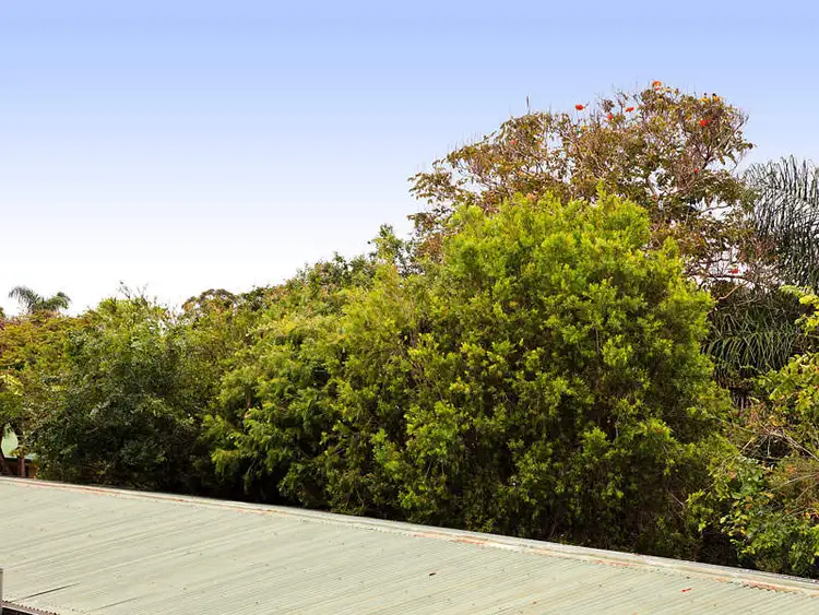 Seventh view of Homely unit listing, 4/91 Junction Road, Clayfield QLD 4011