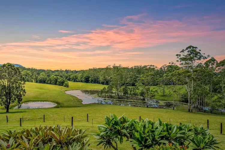 Second view of Homely rural property listing, 299 Elliots Road, Tamban NSW 2441