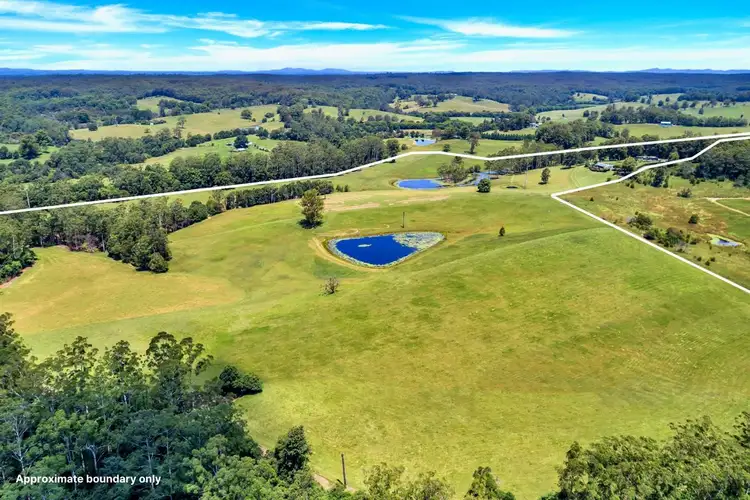 Fourth view of Homely rural property listing, 299 Elliots Road, Tamban NSW 2441