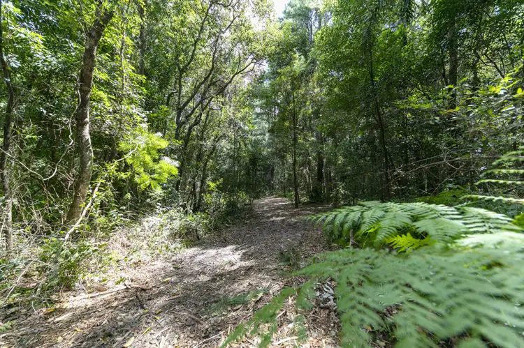 Third view of Homely land listing, 341 Diddillibah Road, Diddillibah QLD 4559