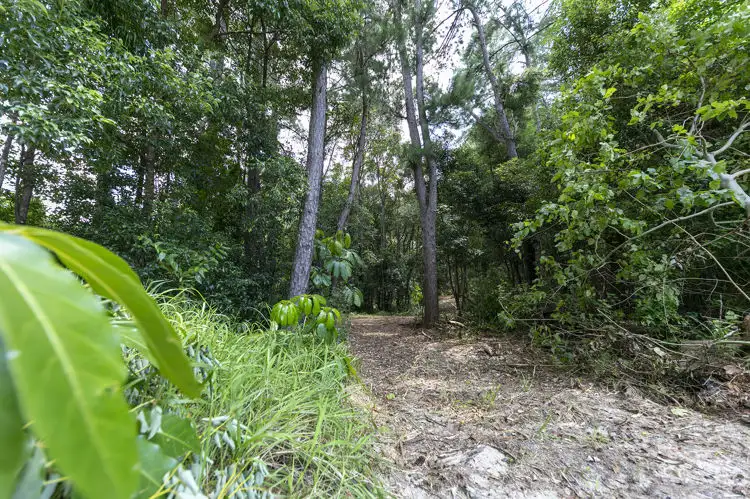 Fourth view of Homely land listing, 341 Diddillibah Road, Diddillibah QLD 4559