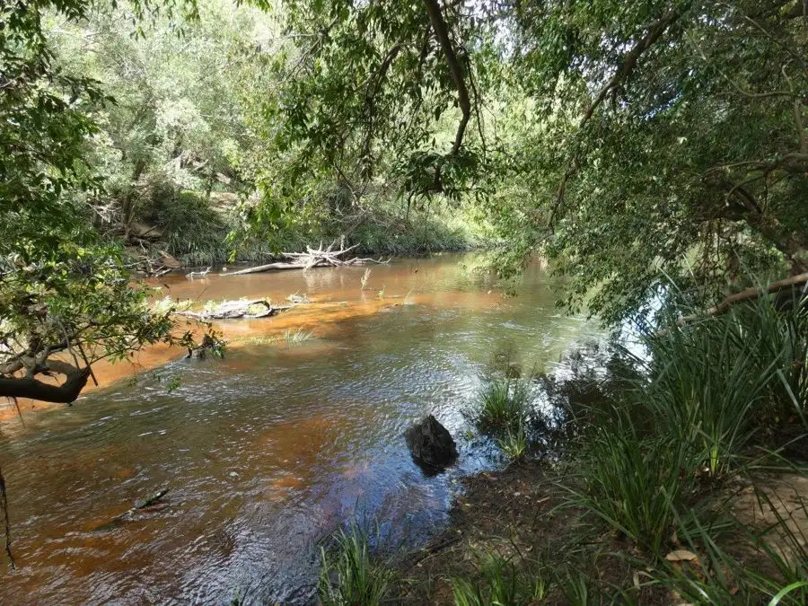 Main view of Homely rural property listing, Lot 13 Lowmead Road, Lowmead QLD 4676