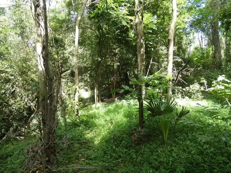 Second view of Homely rural property listing, Lot 13 Lowmead Road, Lowmead QLD 4676