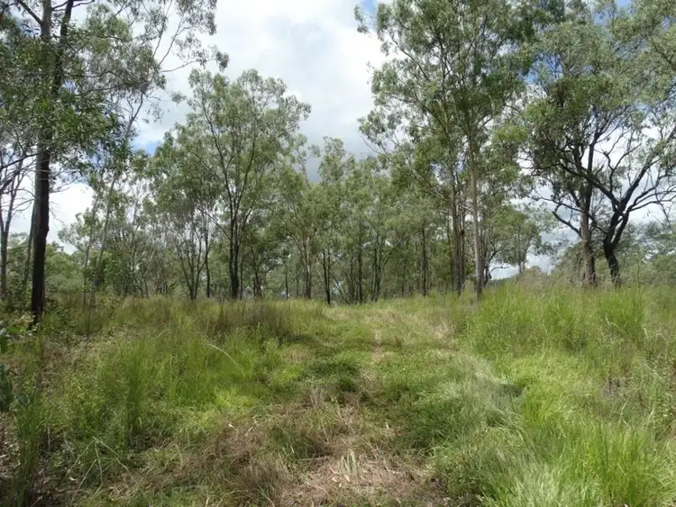 Fourth view of Homely rural property listing, Lot 13 Lowmead Road, Lowmead QLD 4676