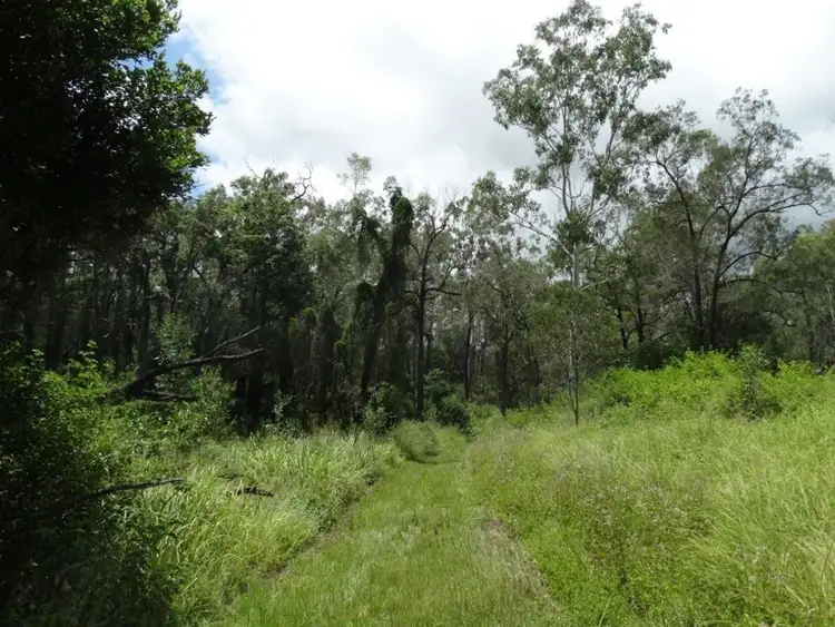 Fifth view of Homely rural property listing, Lot 13 Lowmead Road, Lowmead QLD 4676