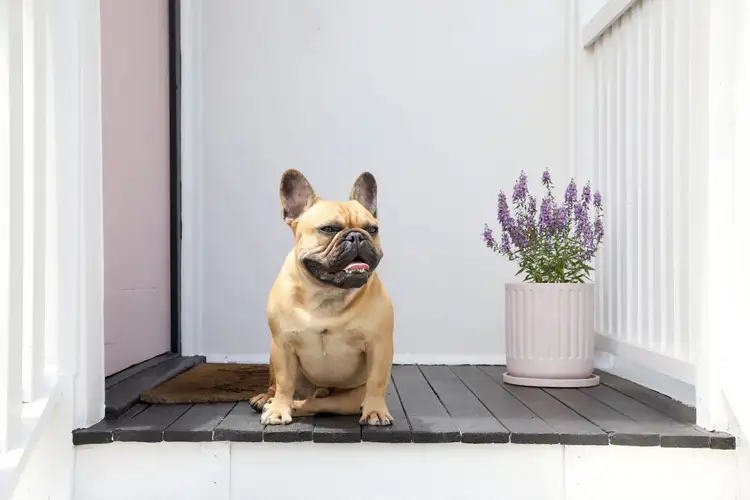 Second view of Homely house listing, 23 Conroy Street, Zillmere QLD 4034