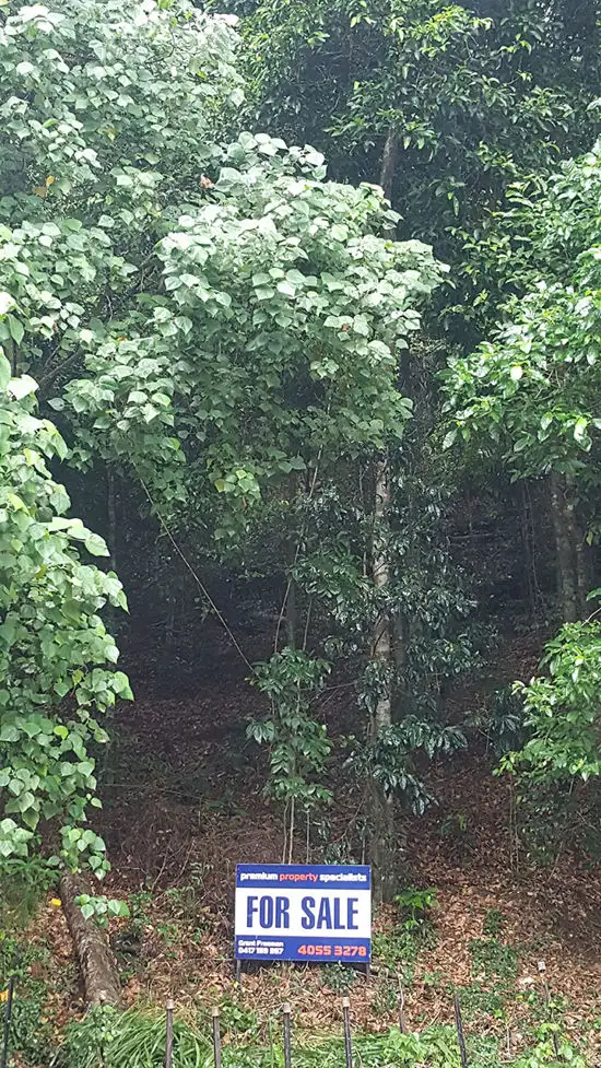 Main view of Homely land listing, 11 Cyathea Close, Kamerunga QLD 4870