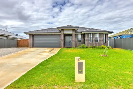 Main view of Homely house listing, 12 Galah Drive, Tamworth NSW 2340