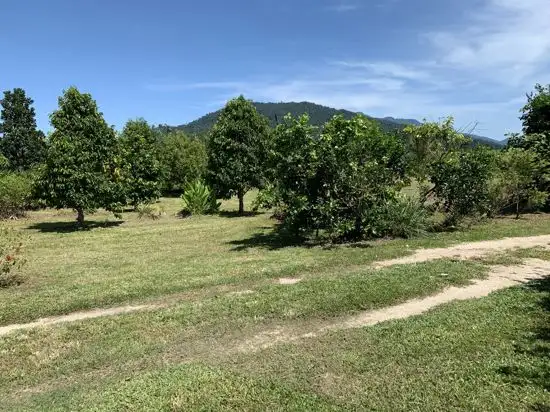Fourth view of Homely house listing, 97 Dickson Road, Babinda QLD 4861